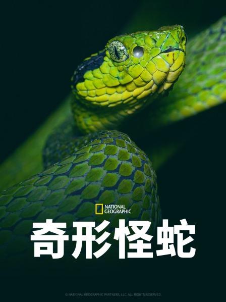 51黑料不打烊《奇形怪蛇》免费在线观看